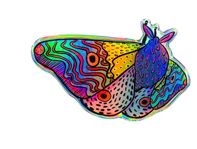naklejki-holograficzne-graficzne-3d-z-zywica-UV